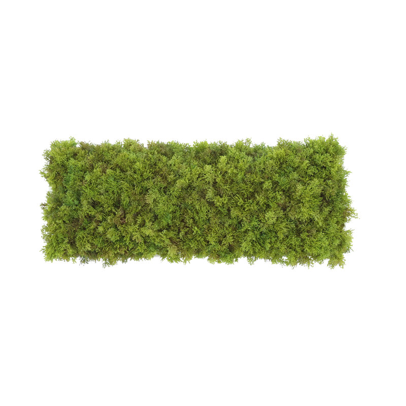 Moss 6" Artificial in Fiberstone Planter, White, 6"H x 22"W x 7"D