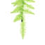 Ornement en sapin