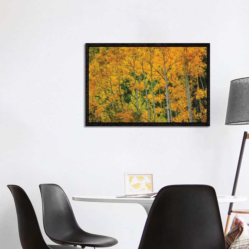 Backlit Embrace by Bill Sherrell - Floater Frame Gallery-Wrapped Canvas Giclée on Canvas, 66.04 cm H x 101.6 cm W, Black