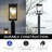 Lantern Head