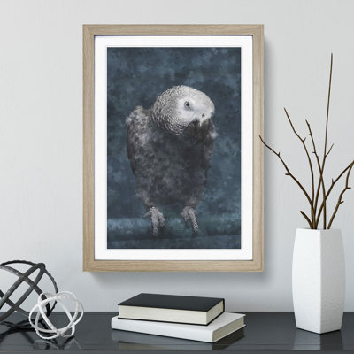 African Grey Parrot - Picture Frame Graphic Art