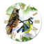 Horloge murale traditionnelle-60281677