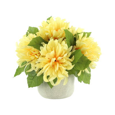 Spider Mum Arrangement in Ceramic Pot