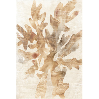 Parchment Coral IV by June Erica Vess - Painting on Canvas