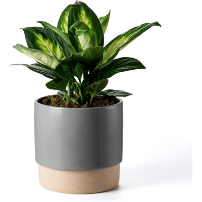8" Self-watering Ceramic Plant Pot Dark Grey
