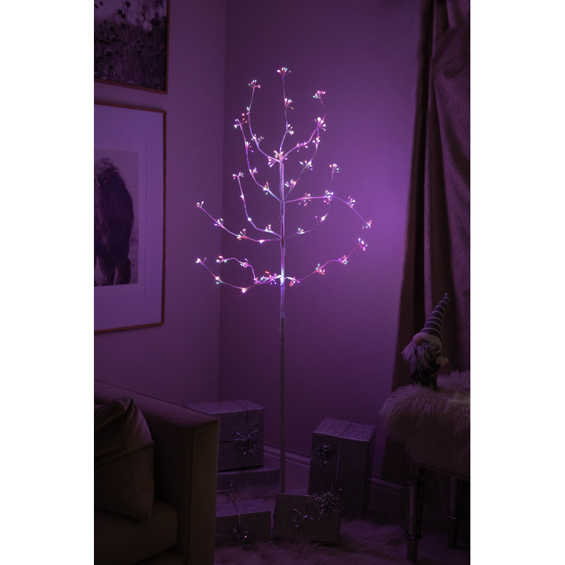 LED Holiday Lighting