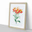 Red Peruvian Lily Flowers - Picture Frame Painting Print-55598000-55598001