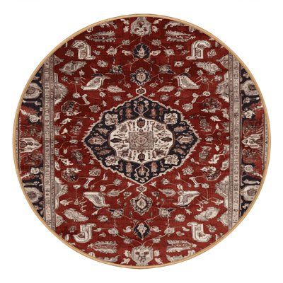 Machine Washable Persian Brown Area Rug