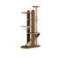 Structure d'escalade pour chat 19,69 "Home