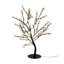 Bonsaïs illuminés et branches-22104824