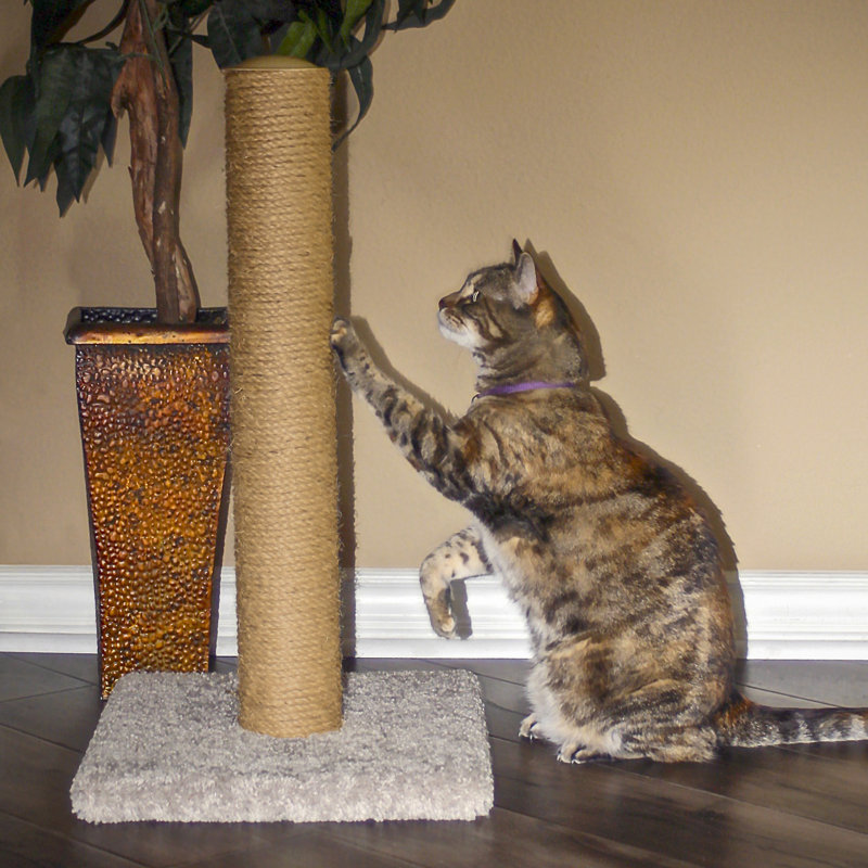 Scratching Post, 15.5'' H  x 13.5'' W  x 25'' D