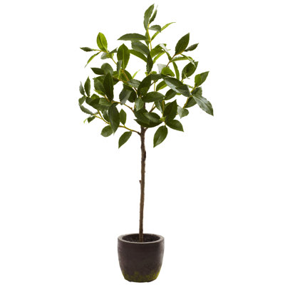 29'' Faux Ficus Tree in Cement Planter