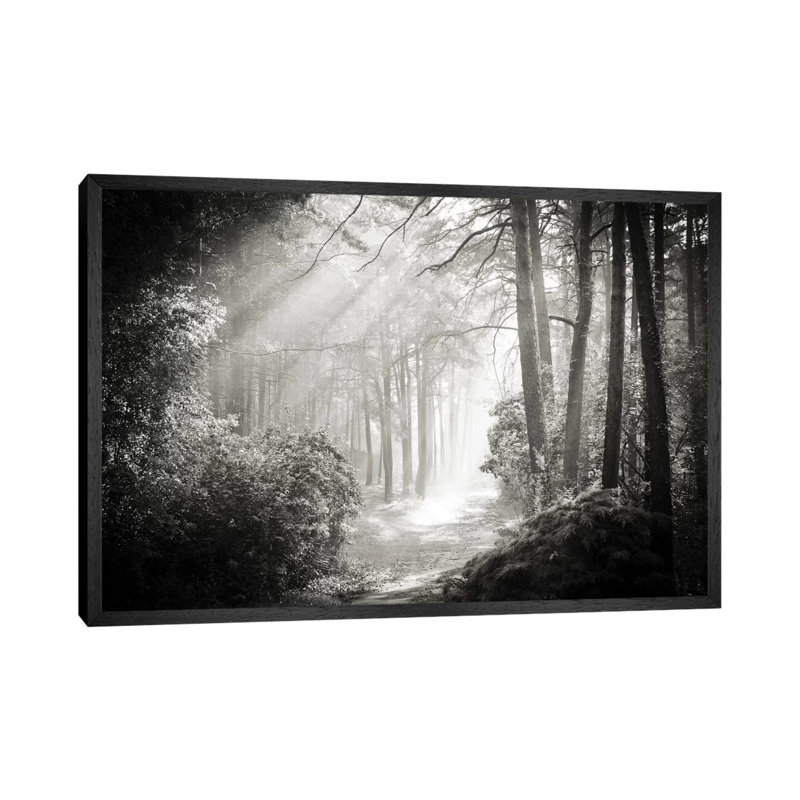 Into The Forest II by Dorit Fuhg - Wrapped Canvas Print, 152.5 cm H x 101.5 cm W, Black Framed Canvas