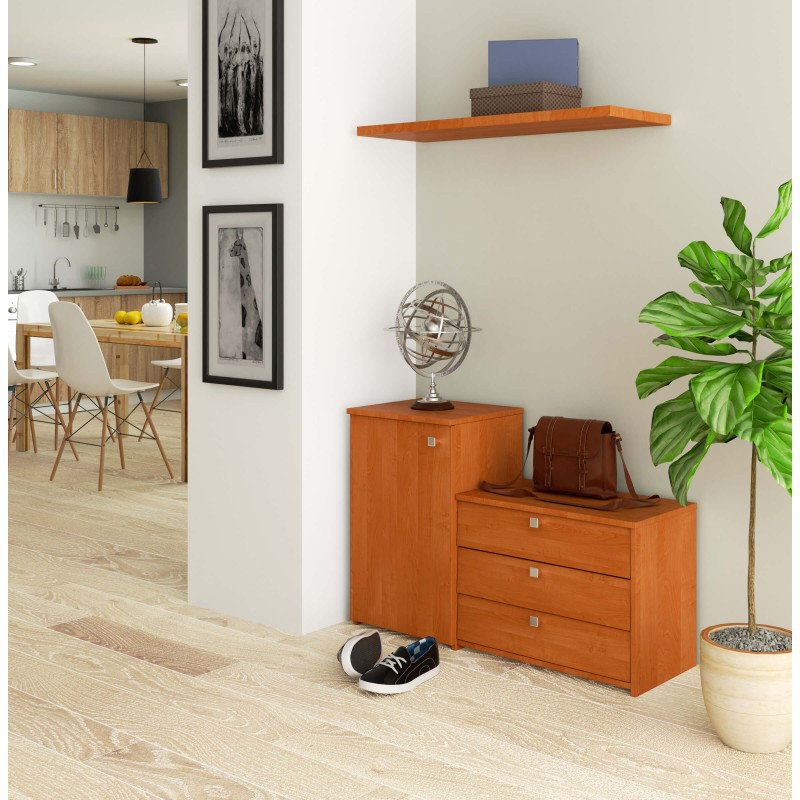 Ferguson 17 Pair Shoe Storage Cabinet, Alder