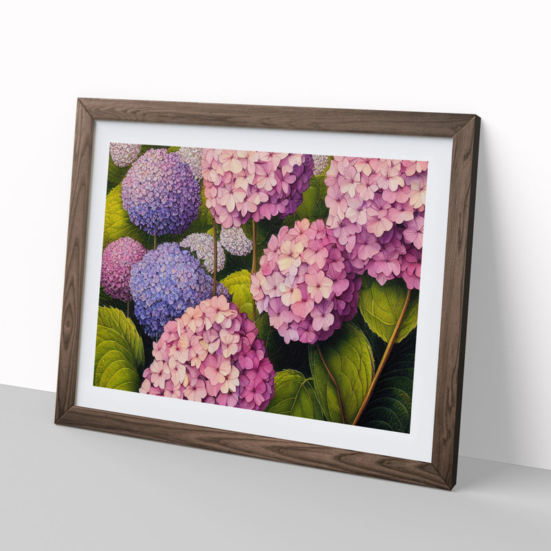 Hydrangea Flower - Single Picture Frame Print, 34cm H x 46cm W x 2cm D, Walnut
