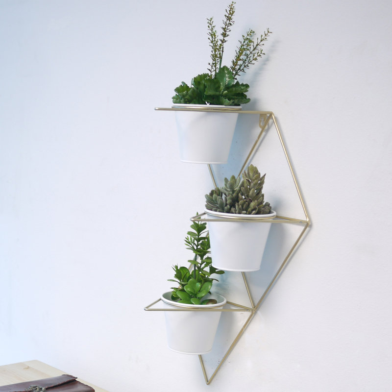 Wall Planter