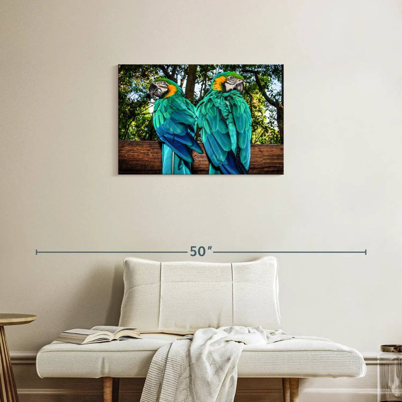 Brampt Macaw Parrots, 20" H x 30" W