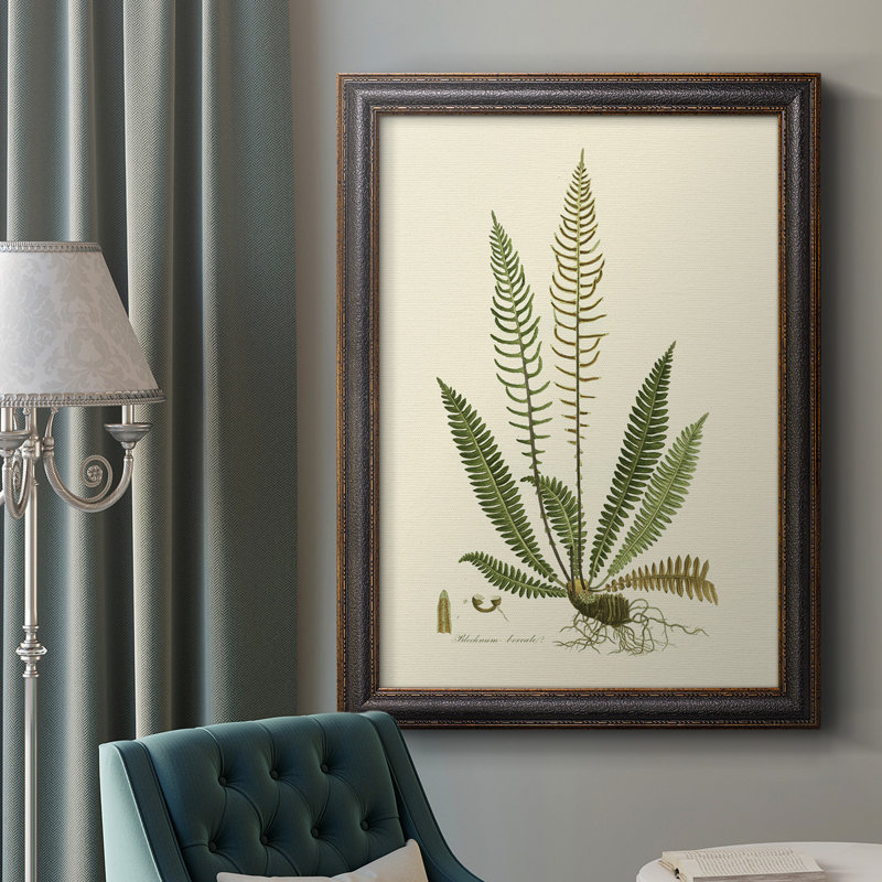 «Curtis Ferns III», reproduction sur toile encadrée, H 20 po x l 16 po x P 2,5 po