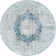 Alabama Oriental Indoor Rug