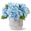 Ryann Realtouch Hydrangea Arrangement-722219266