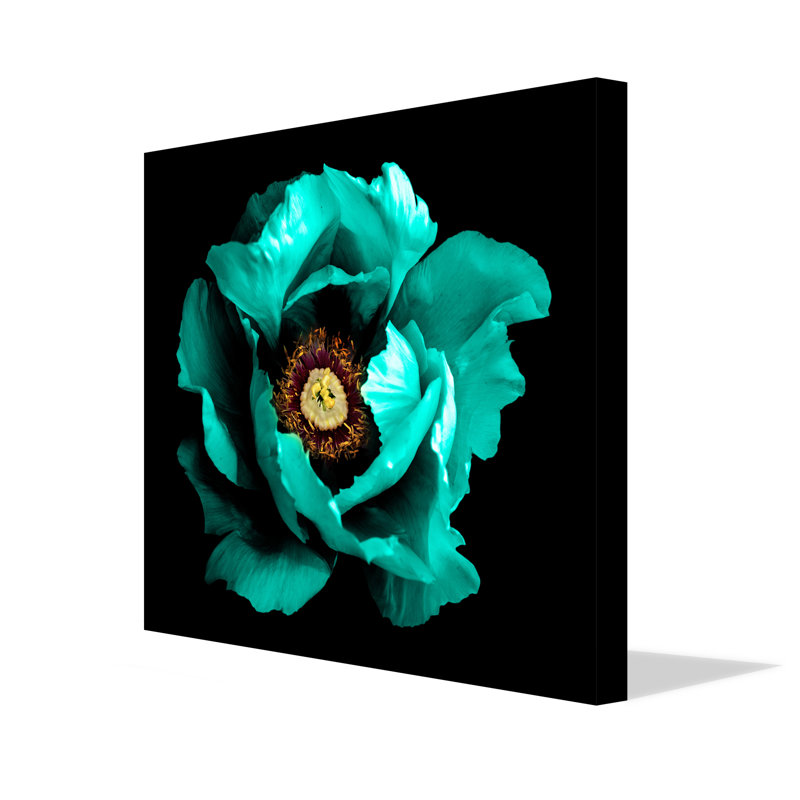 Winter Floral Surreal Dark Chrome Cyan Peony Flower Macro by Andrew Lee - Wrapped Canvas Print, 127cm H x 127cm W x 4cm D