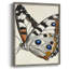 ANIMALS Series CECLXII, reproduction encadrée - bois massif-1097674159