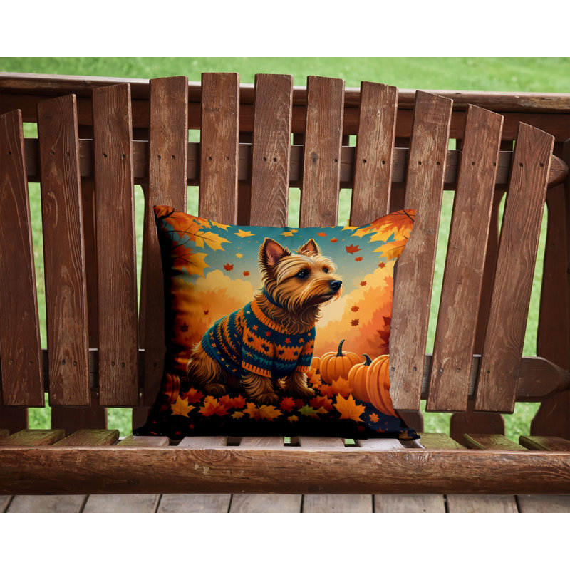  Coussin décoratif intérieur / extérieur en polyester Autre / Sans motif, 14 po x 14 po