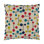Astro Pillow Cover & Insert