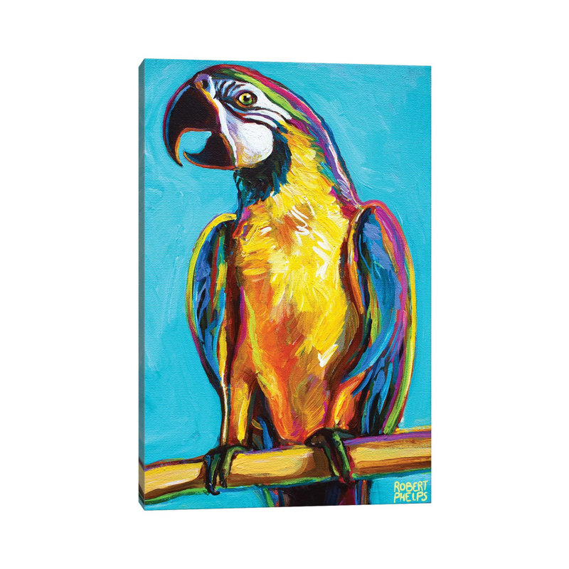 Parrot On Blue by Robert Phelps - No Frame Gallery-Wrapped Canvas Giclée on Canvas, 30.48cm H x 20.32cm W