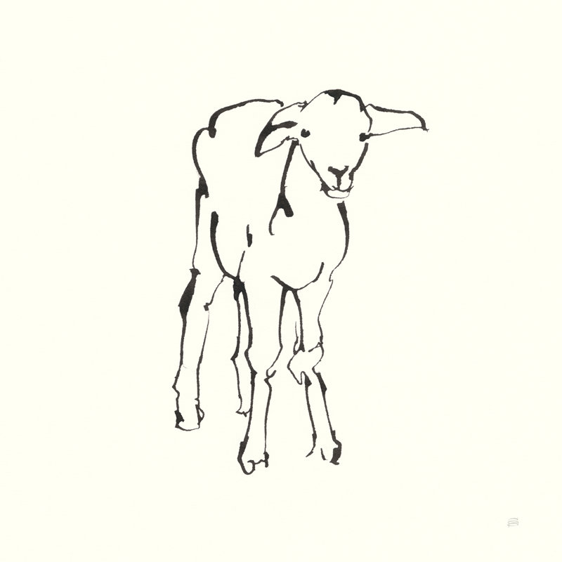 Line Lamb by Chris Paschke - Wrapped Canvas Painting, 51cm H x 51cm W