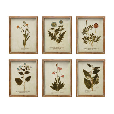 Wood Framed Portraits of Botanical Prints