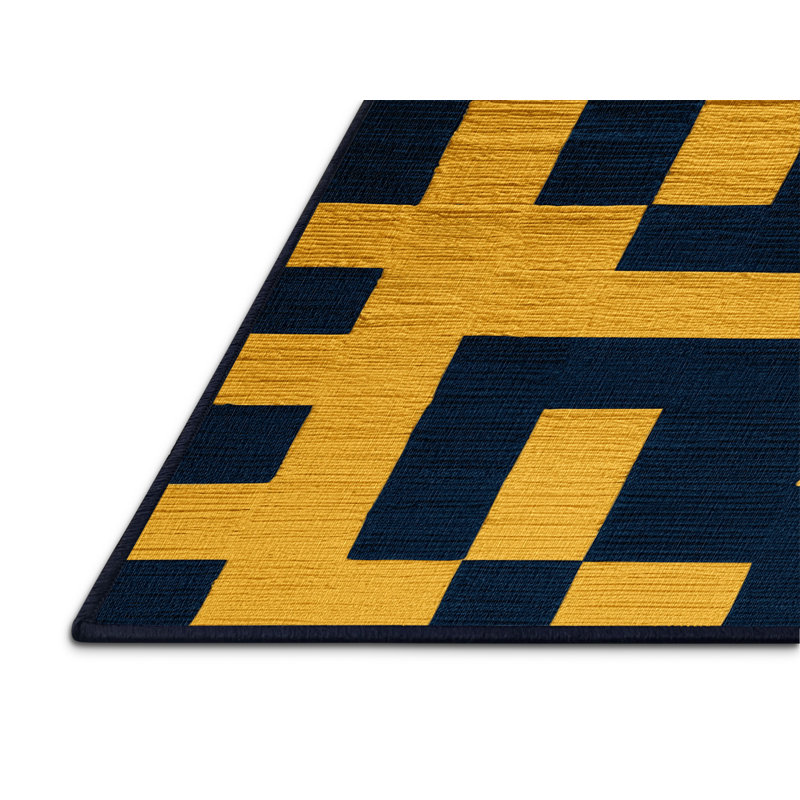 Machine Washable Checkered Blue Area Rug