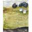 Green Land II Print by Elena Carlie-26935635-26935634