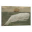 Loin de Nantucket - impression sur toile-19072931-74875505-74875506