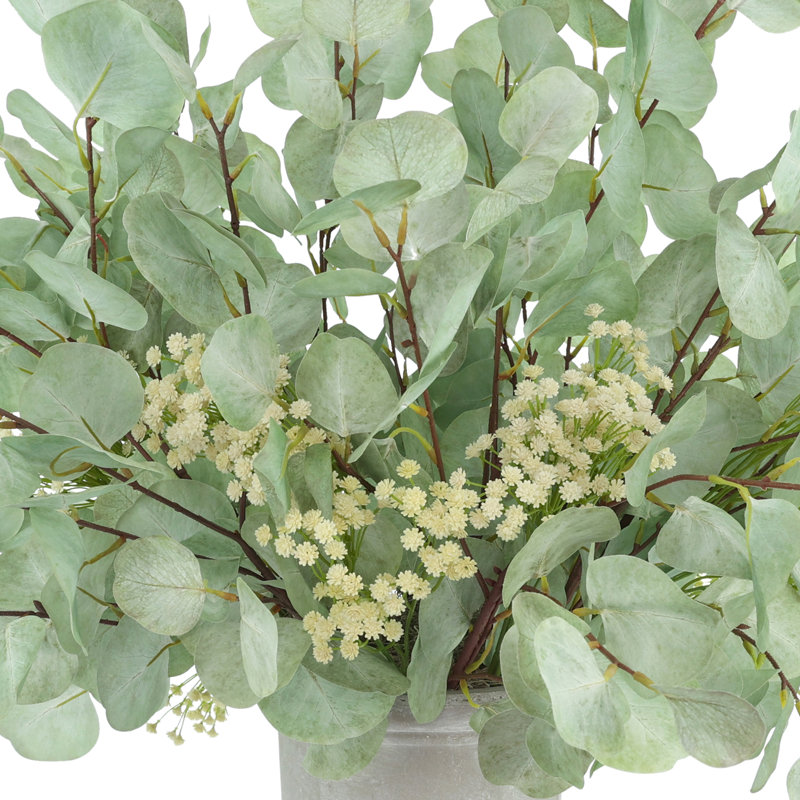 Eucalyptus Arranged in Stone Vase