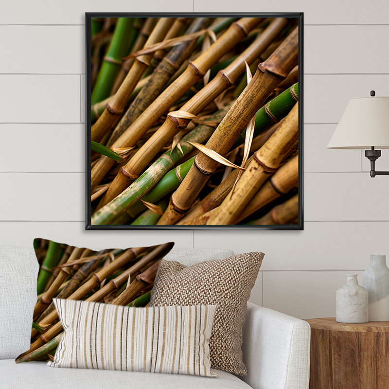 " Bamboo Field Close Up I ", Black Floater Framed, 30" H x 30" W x 1" D