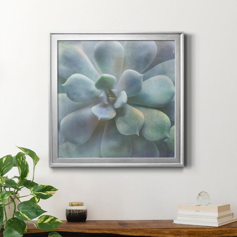 Soft Succulent II - peinture sur toile encadrée, Cadre argenté, H 34,5 po x l 34,5 po x P 1,5 po