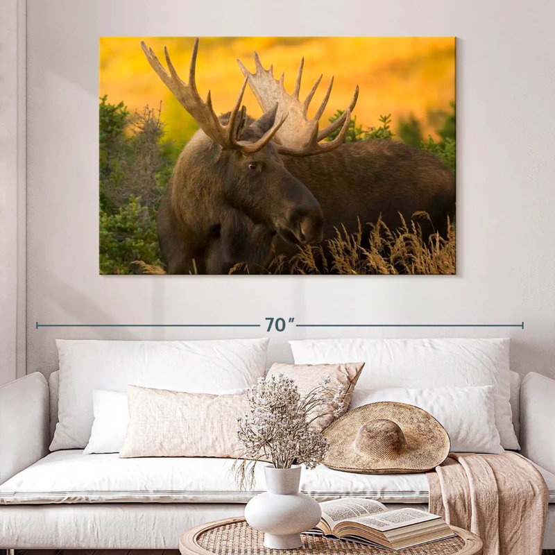 Chugach Bull Moose, 34" H x 51" W