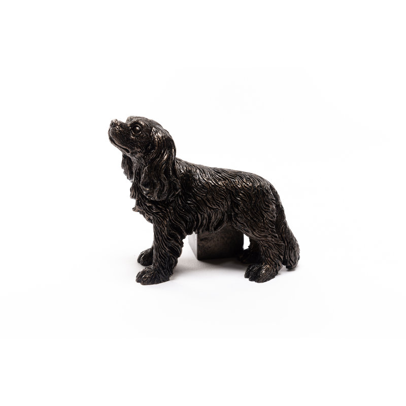 Laytonville Cavalier King Charles Spaniel