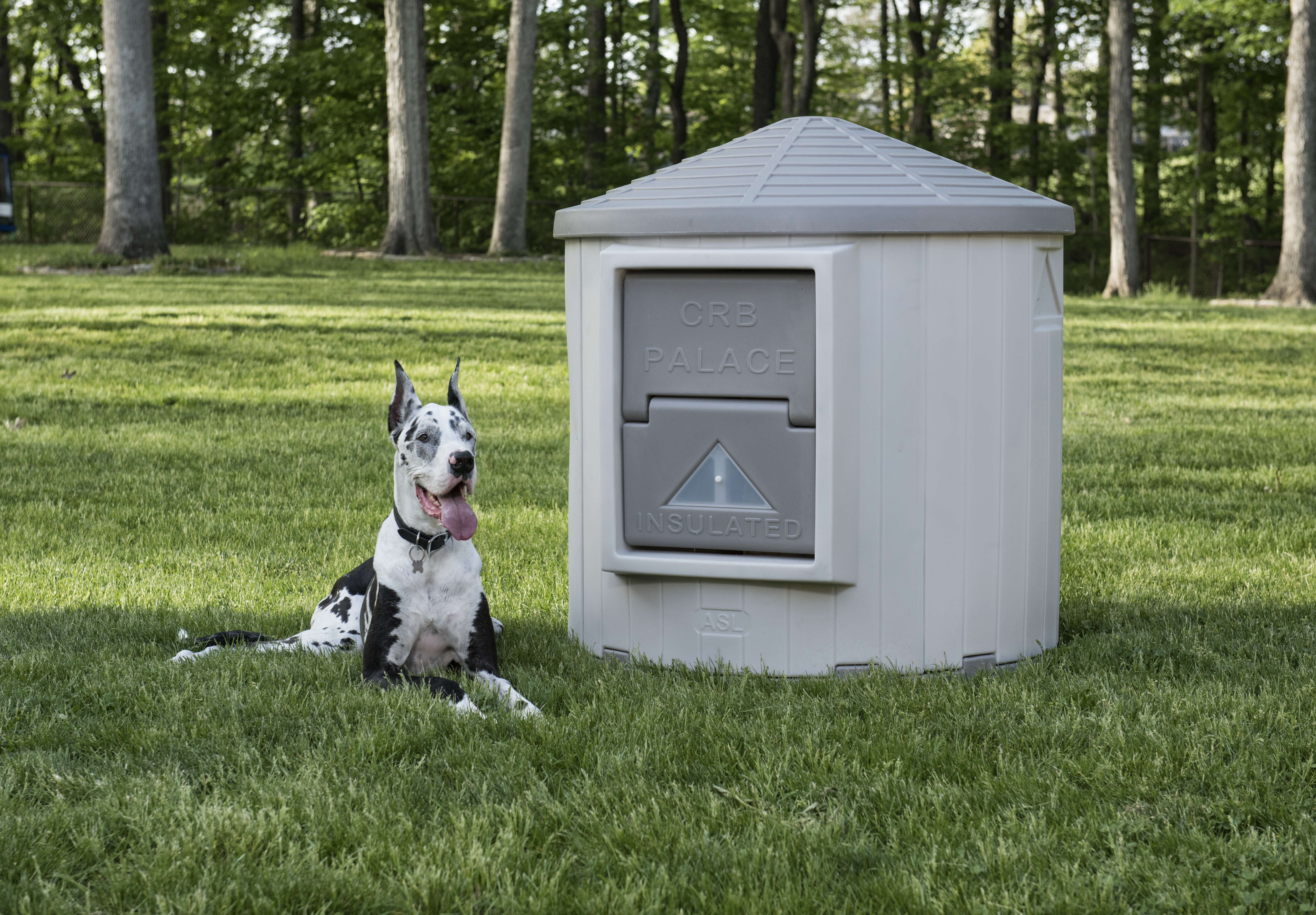 Dog Palace CRB Palace Premium Insulated Dog House & Reviews - Wayfair