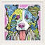 « collie », impression-1006855113-1006855111