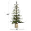 Sapin de Noël blanc 5 pi pré-éclairé
