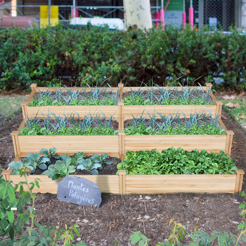 Wooden Raised Garden Bed, 27cm H x 241.5cm W x 62.5cm D, Wood