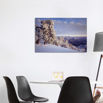 Pinyon Pine Trees Covered in Snow in Winter, South Rim, Grand Canyon National Park, Arizona, USA 1 Piece Wrapped Canvas Wall Art