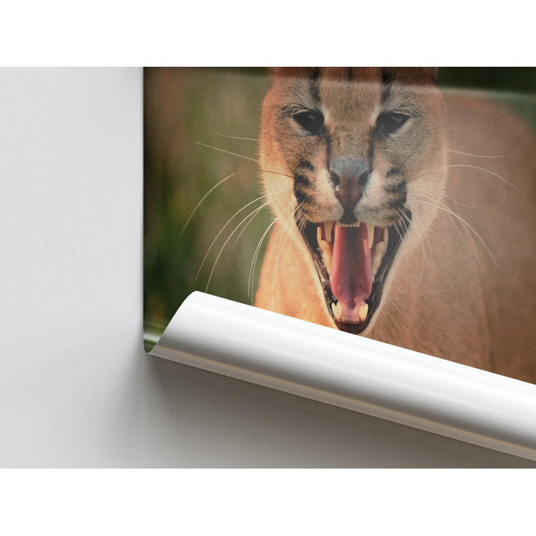No Frame Print on Canvas