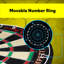 Viper Bristle Dartboard with Darts