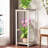Plant Stand 2 Tier-2049429006
