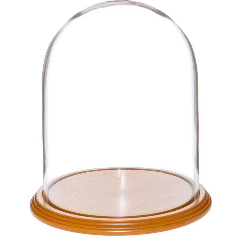 Cloche à dôme en verre 9,75 "x 15" Vucciria, H 15 po x l 9,75 po x P 9,75 po, Base en placage de chêne