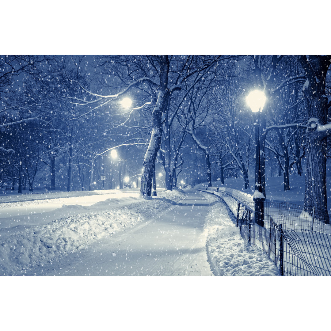 Central Park bei Nacht im Schneesturm von Pawel.gaul - Leinwandbild