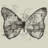 " Butterfly Effect " by Tobias Fonseca-18690198-74270806-74270807